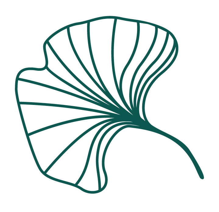 Feuille ginko verte